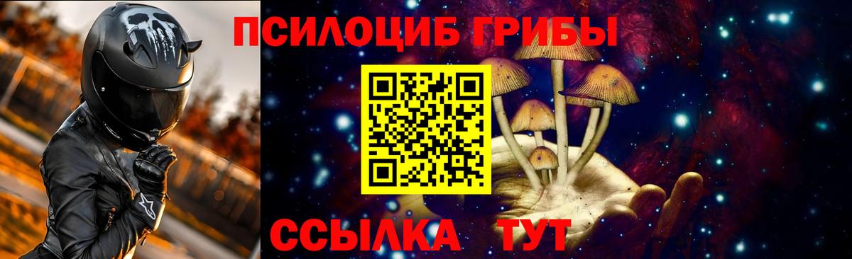 Галлюциногенные грибы мицелий Гатчина